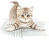 卡通小猫咪设计素材