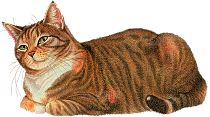 卡通小猫咪设计素材免抠