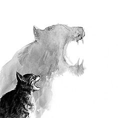 卡通小猫咪设计素材免抠