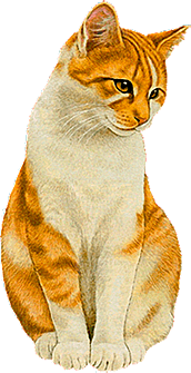 卡通小猫咪设计素材免抠