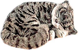 卡通小猫咪设计素材