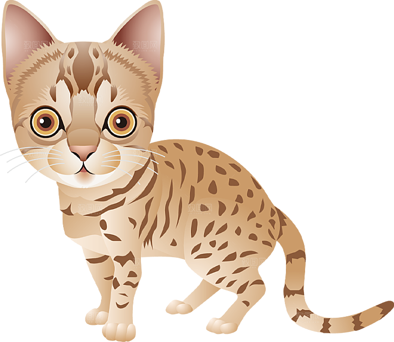 卡通小猫咪设计素材免抠