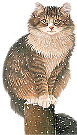 卡通小猫咪设计素材
