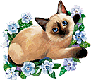 卡通小猫咪设计素材