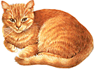 卡通小猫咪设计素材