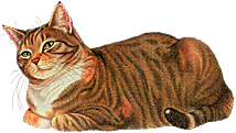 卡通小猫咪设计素材