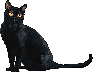 卡通小猫咪设计素材免抠
