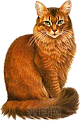 卡通小猫咪设计素材免抠