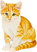 卡通小猫咪设计素材免抠
