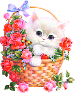 卡通小猫咪设计素材免抠
