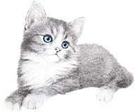卡通小猫咪设计素材免抠