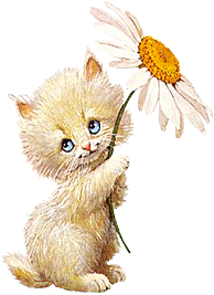 卡通小猫咪设计素材免抠