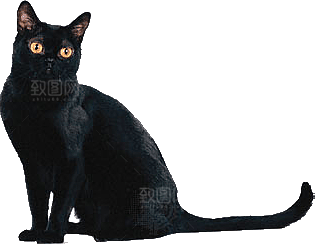 卡通小猫咪设计素材免抠