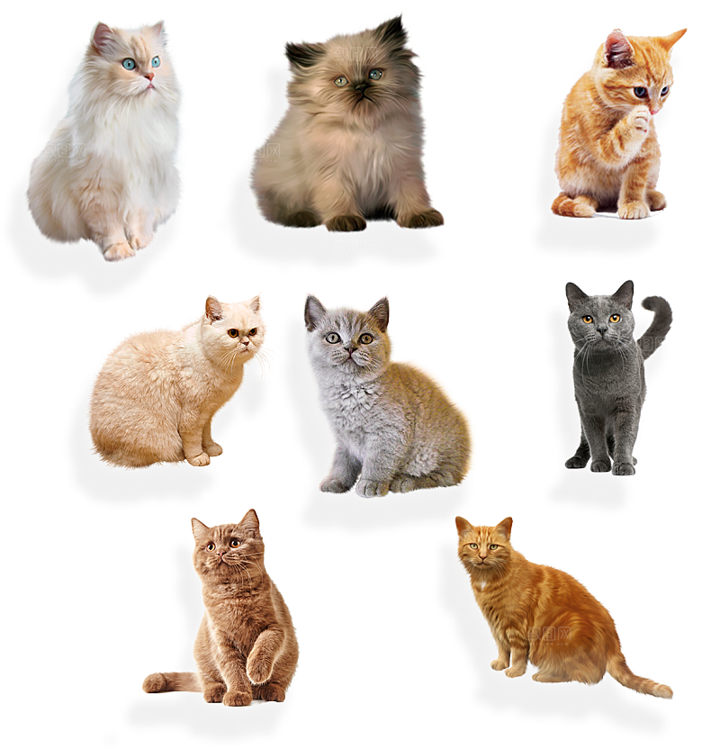 卡通小猫咪设计素材