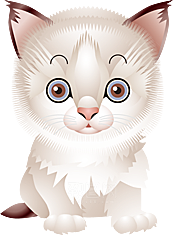 卡通小猫咪设计素材