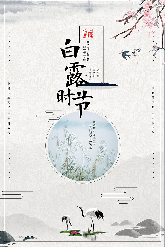 白露节气白露海报