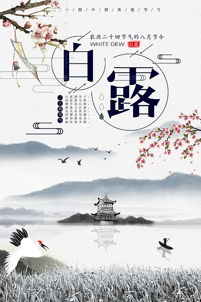 白露节气白露海报