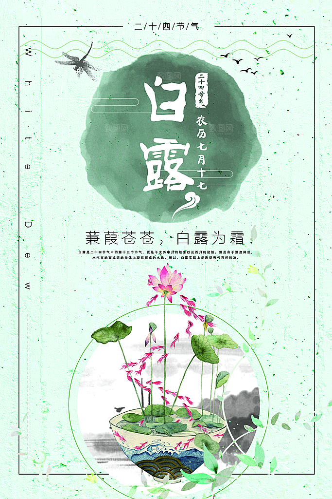 白露节气白露海报