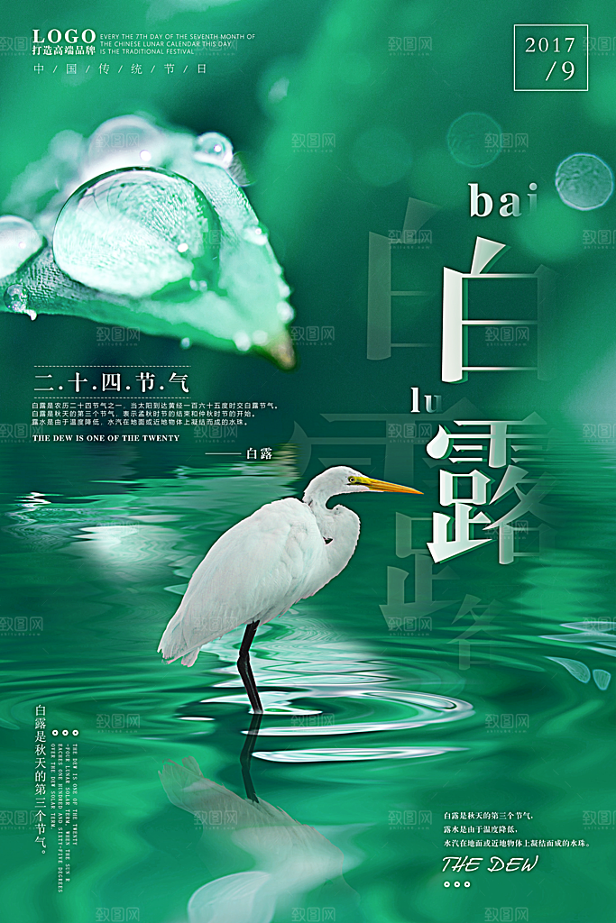 白露节气白露海报