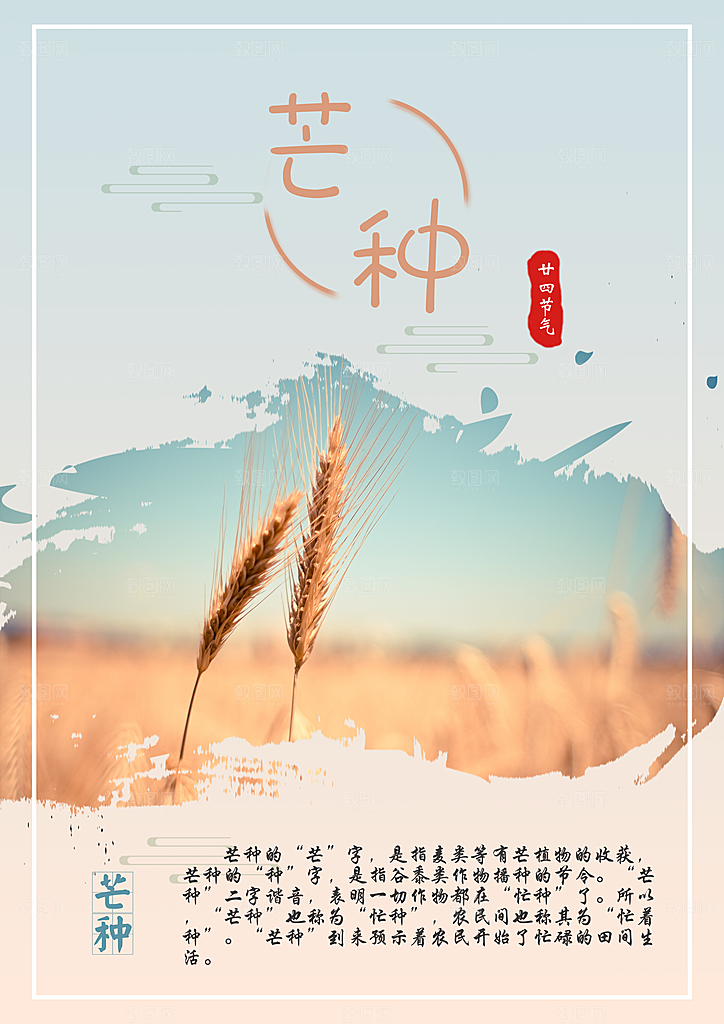 芒种海报芒种节气