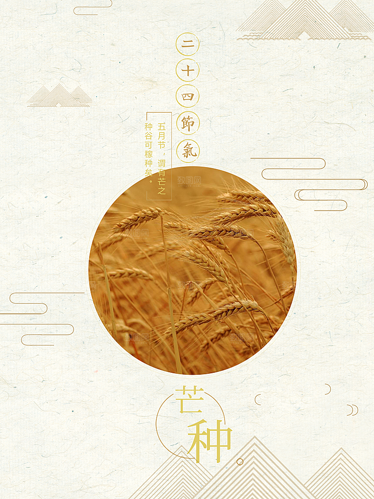 芒种海报芒种节气