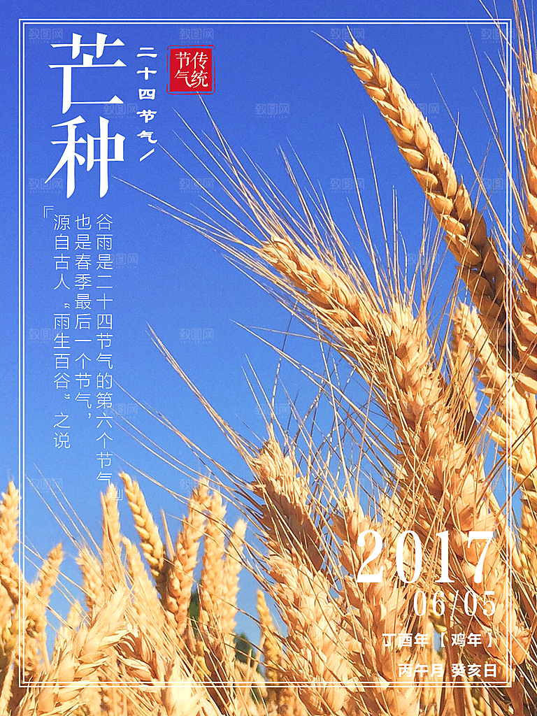 芒种海报芒种节气