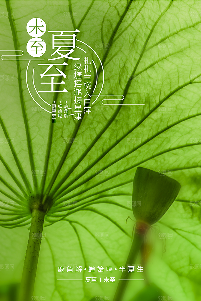 夏至节气夏至海报
