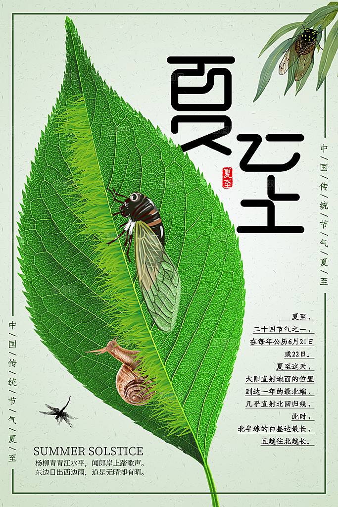 夏至节气夏至海报