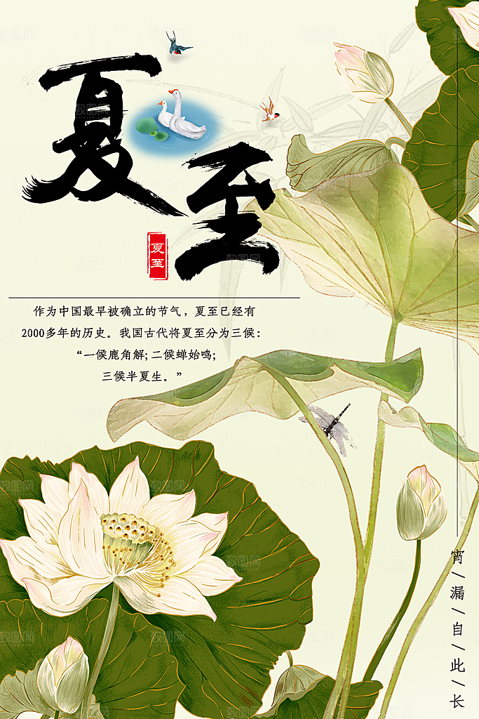夏至海报夏至节气