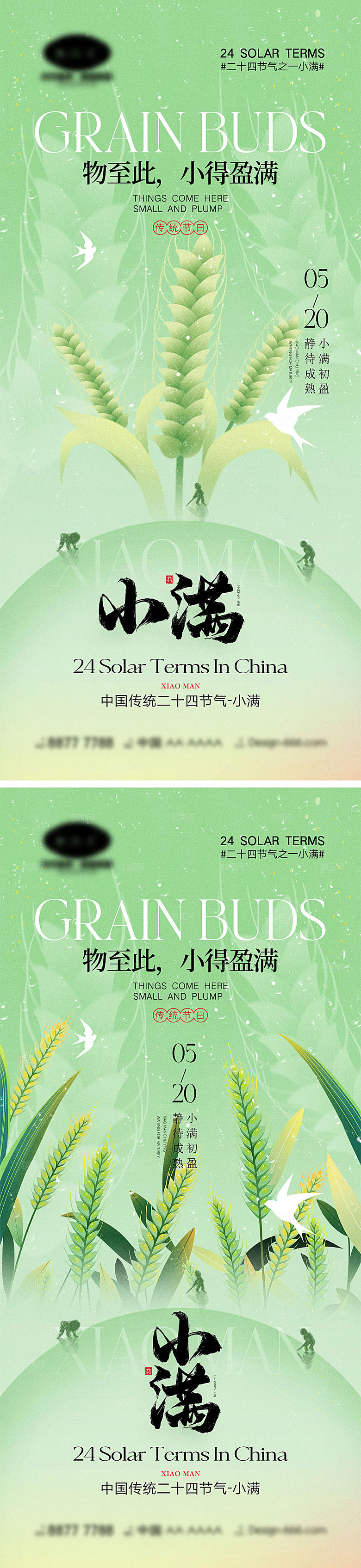 小满节气海报15