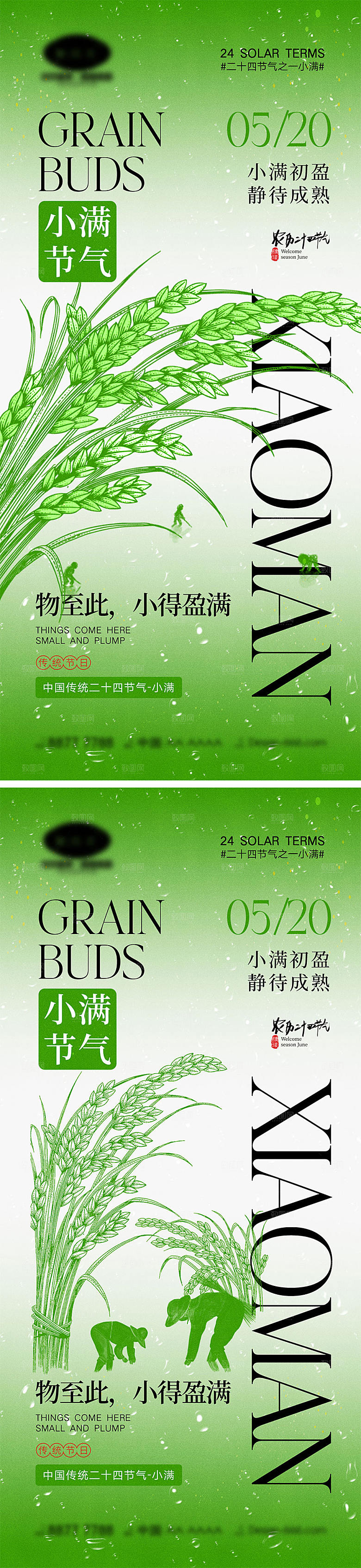 小满节气海报14