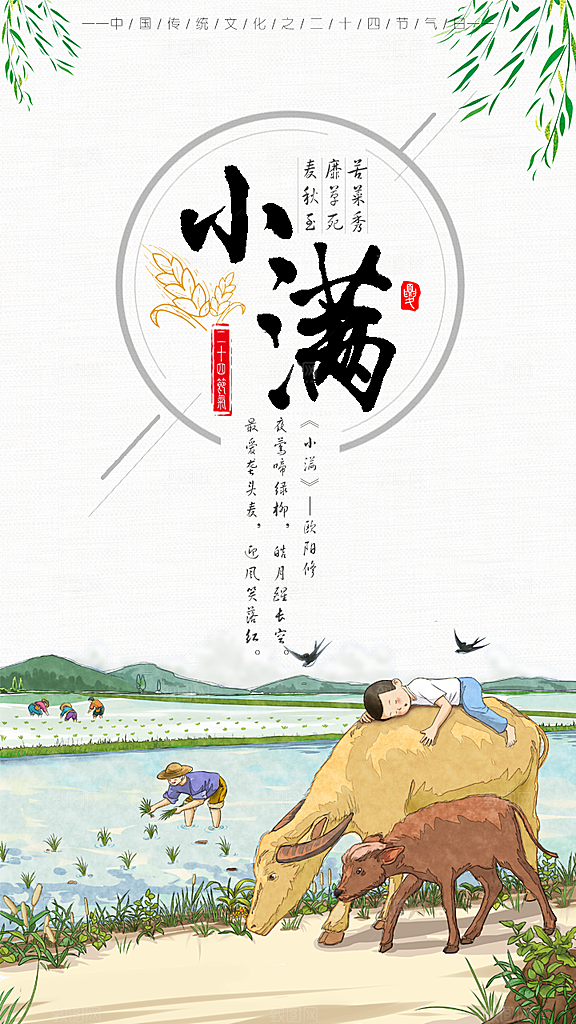 小满海报 小满节气