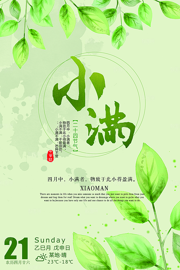小满节气小满海报