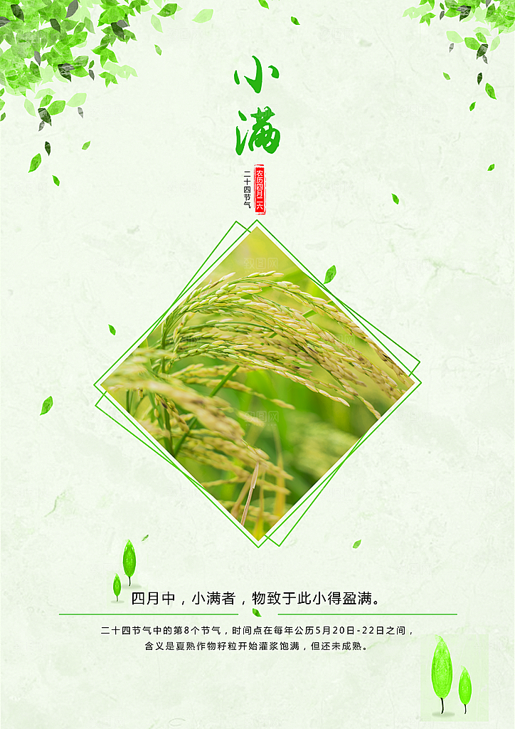 小满节气小满海报