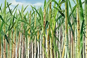 翠绿竹林风景画图片