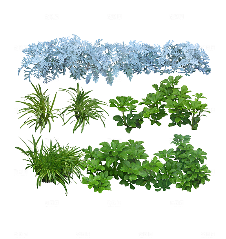 园林景观绿植花卉png素材