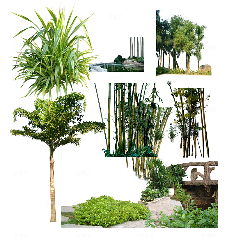 园林景观绿植花卉png素材