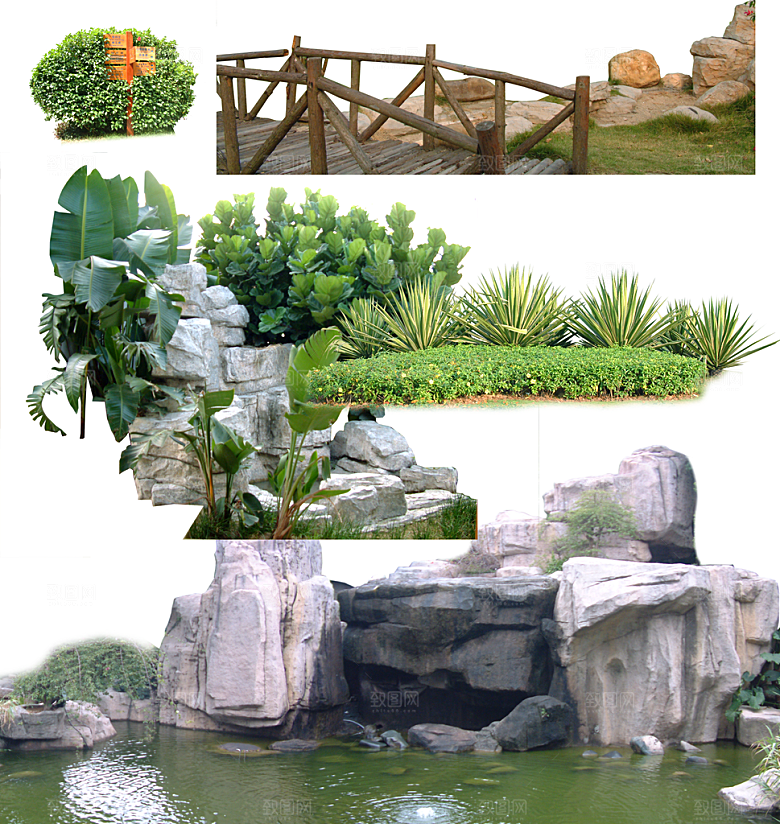 园林景观绿植花卉png素材