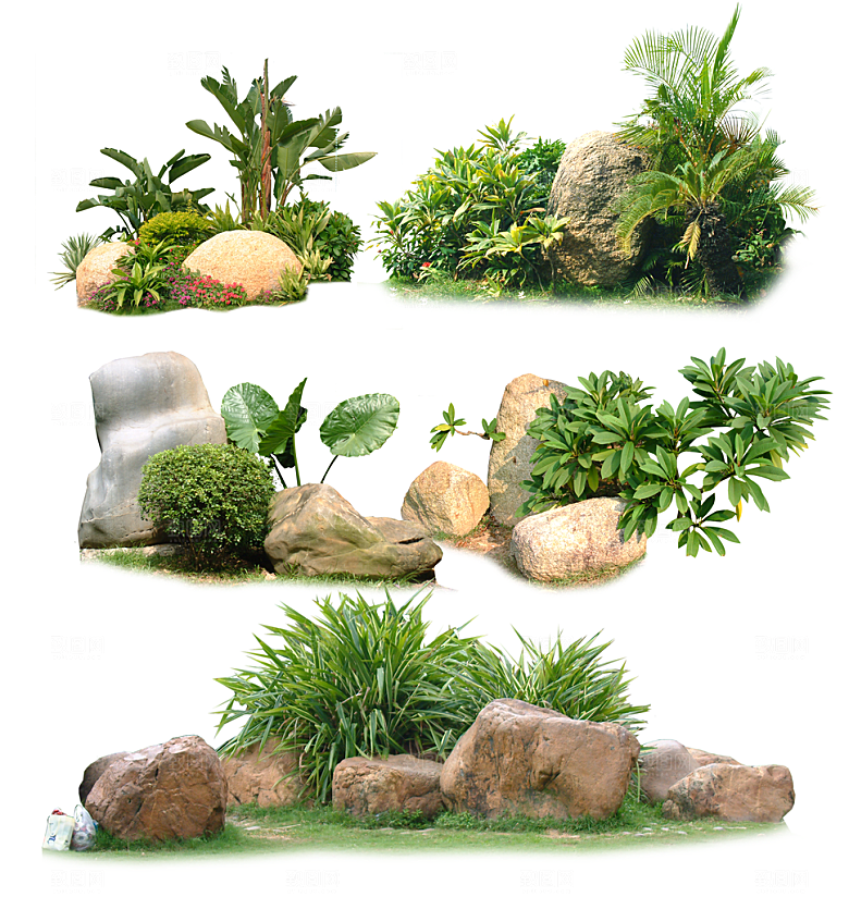 园林景观绿植花卉png素材