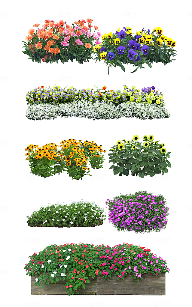 园林景观绿植花卉png素材
