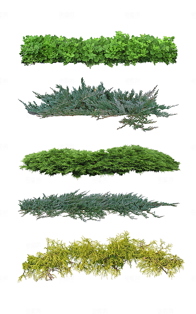 园林景观绿植花卉png素材