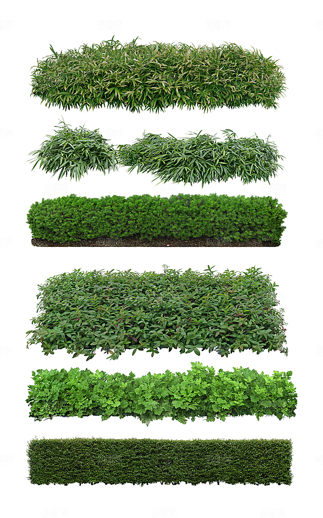 园林景观绿植花卉png素材