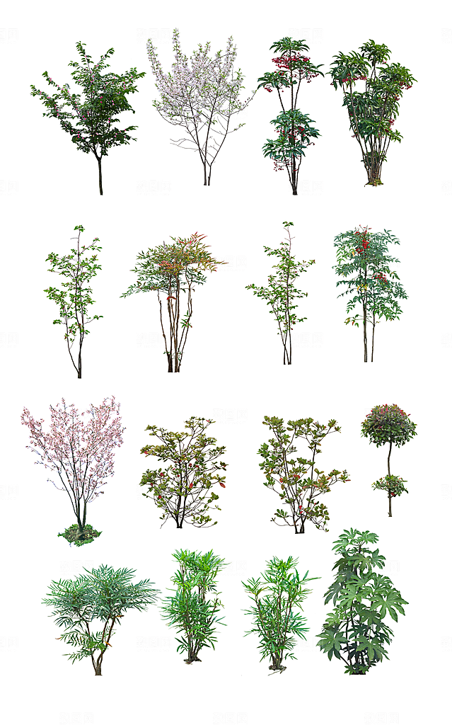 园林景观绿植花卉png素材