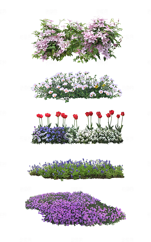 园林景观绿植花卉png素材