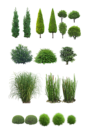 植物绿色创意免抠元素