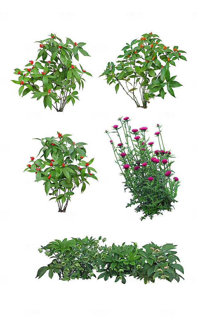 植物绿色创意免抠元素