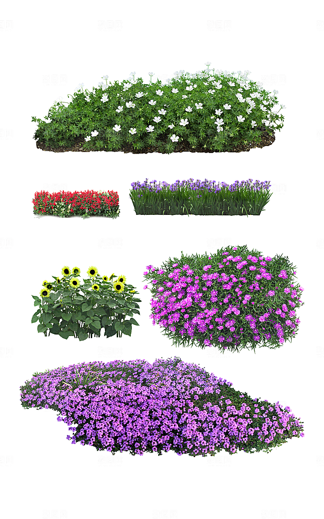 植物绿色创意免抠元素