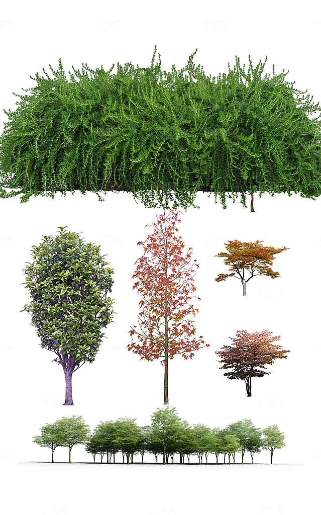植物绿色创意免抠元素