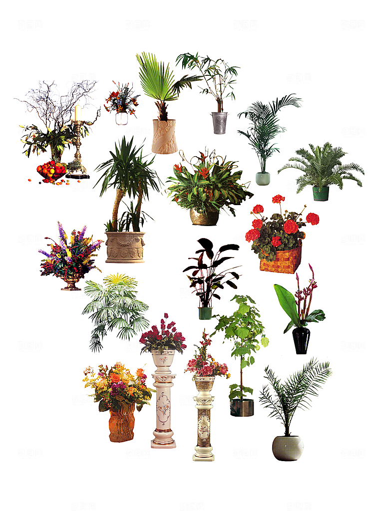 植物绿色创意免抠元素