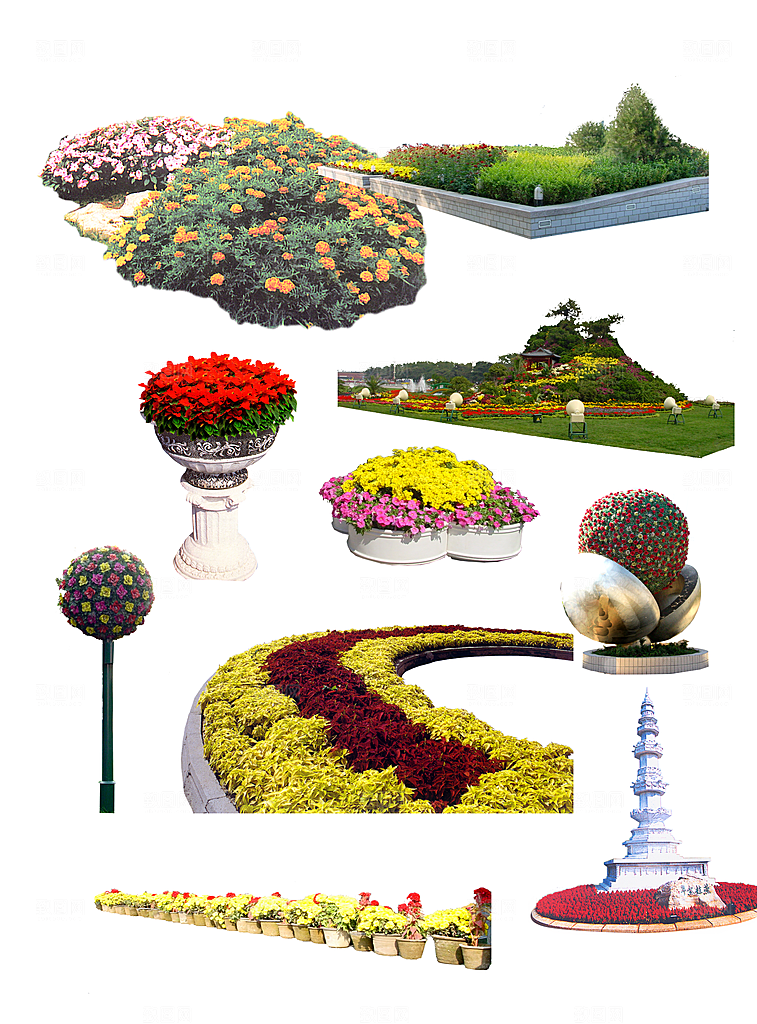 植物花卉园林绿化免抠元素